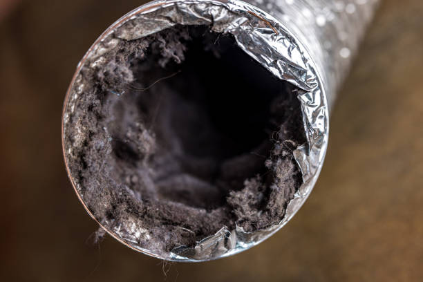 Best Commercial HVAC Duct Cleaning  in Mount Zion, IL