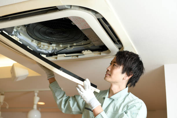 Best Home Air Vent Cleaning  in Mount Zion, IL