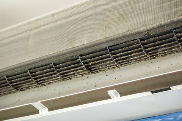 Best Ductwork Cleaning Services  in Mount Zion, IL